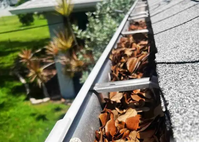 DeWitt gutter cleaning home page